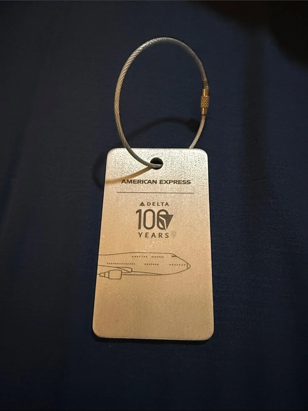 Delta Airlines x AmEx 100 Years Metal Luggage Bag Tag